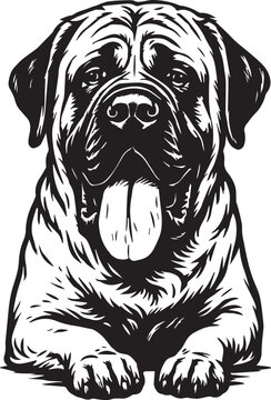 cute english mastiff dog