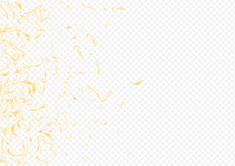 Fototapeta premium Yellow_petals_transparent_background_368.eps