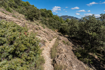 road to Titanosaur footprints from Orcau, Sauropod site, Pallars Jussà, Lleida, Catalonia, Spain © Tolo