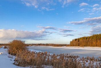 Snowy landscape with a lake and a forest