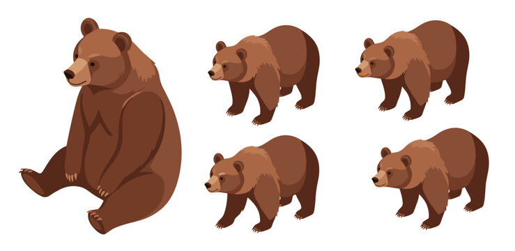 Isometric brown bear illustrations in various poses on white background