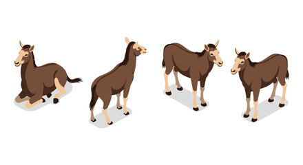 Isometric illustrations of mules in various poses on white background