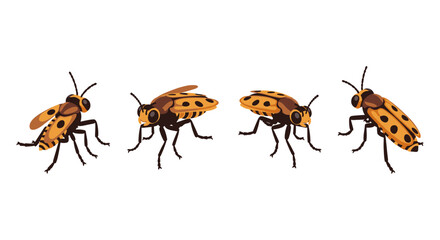 Diverse views of spotted ladybugs in flat design on white background