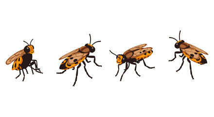 Detailed bee set on white background: multiple angles and poses