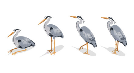 Obraz premium Elegant heron silhouettes: graceful bird poses with detailed feathers
