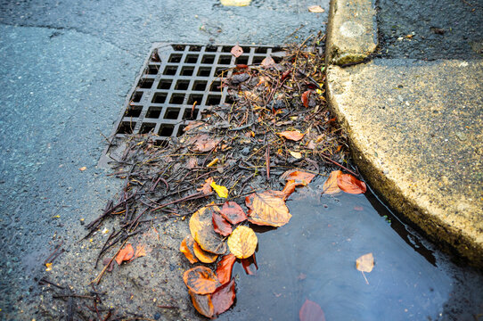 Storm drain partially blocked by wet autumn leaves and water pooling at street edge