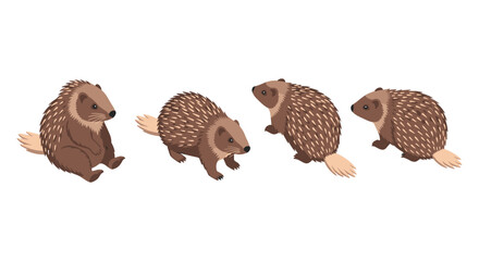 Isometric porcupine collection: four cute cartoon styles