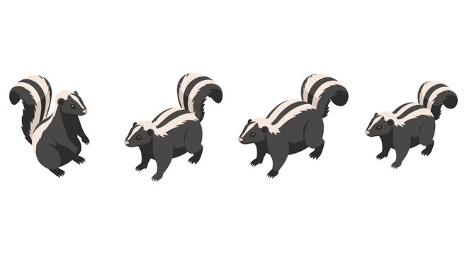 Isometric skunk set: various poses of cartoon skunks with bushy tails
