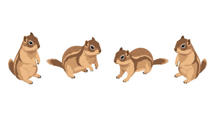 Obraz premium Cute chipmunks in various poses on white background