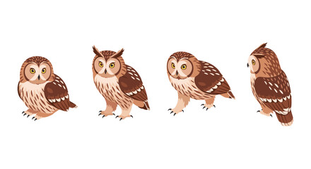 Fototapeta premium Charming owl collection: four adorable owls in diverse poses and angles