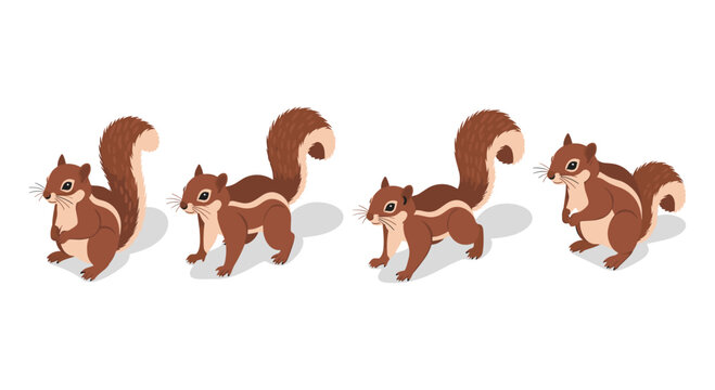 Isometric squirrels: cute brown cartoon characters in various poses with bushy tails