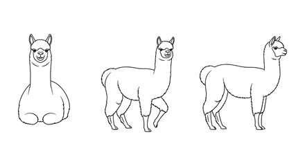 Naklejka premium Cute alpacas vector set: three cartoon outlines in minimalist style