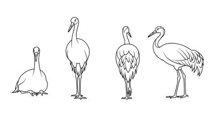 Obraz premium Elegant crane line art set: multiple poses and perspectives