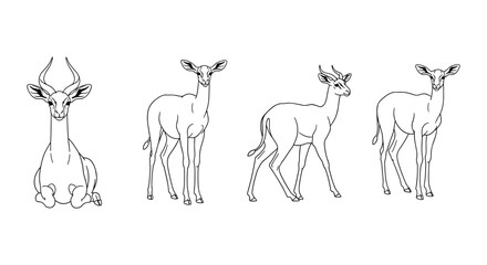 Naklejka premium Antelope line art: various poses of graceful wildlife illustrations