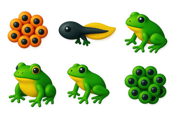Fototapeta premium Frog Lifecycle Icons. 3D icon set of frog lifecycle: frogspawn, tadpole, tadpole with legs, young frog, adult frog, egg cluster. A