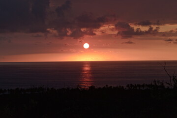 Red Sun Setting Over The Ocean With Trees In Foreground