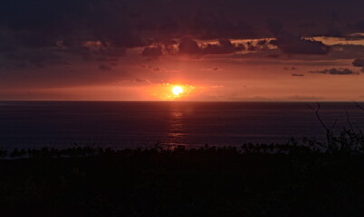 Obraz premium Red Sun Setting Over The Ocean With Trees In Foreground