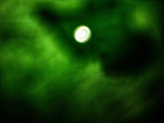 abstract green background