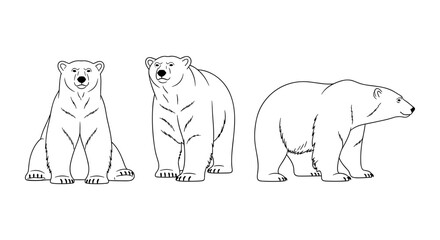 Obraz premium Polar bear silhouette variations showcasing majestic ursine postures and outlines