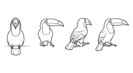Obraz premium Toucan outline set: four angles of tropical bird in minimalist line style