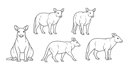 Fototapeta premium Outline sketch of capybara from different angles in minimal style