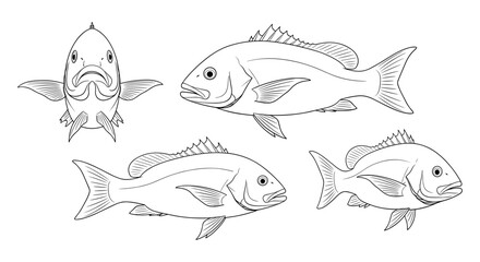 Detailed outline fish collection: elegant black and white marine animal set