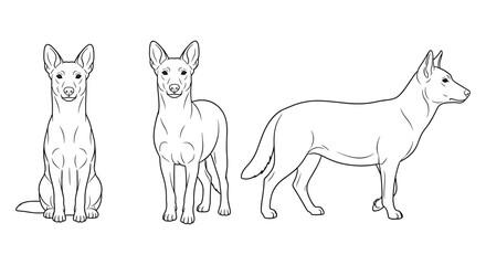 Dog silhouette line art: three poses of a canine from different angles