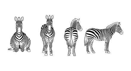 Obraz premium Zebra silhouette set showing multiple poses design