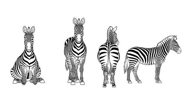 Stylized zebra silhouettes in various poses on white background