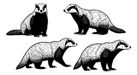 Obraz premium Detailed animal silhouette set featuring badgers in various poses for wildlife art