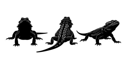 Obraz premium Silhouette reptile trio in black and white: three distinct bearded dragons