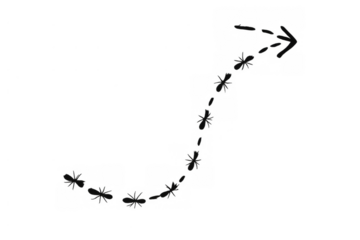 Ants creating a dashed arrow path, symbolizing collaboration, direction, and progress on a transparent background