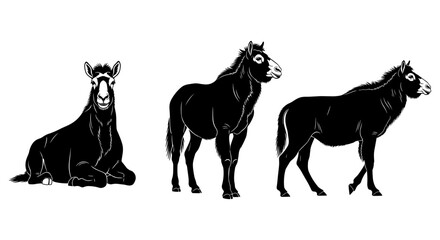 Silhouette trio of donkeys in various poses on white background