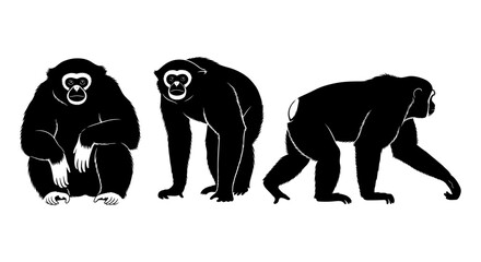 Fototapeta premium Silhouette gibbons trio: sitting, standing, walking in profile perspectives