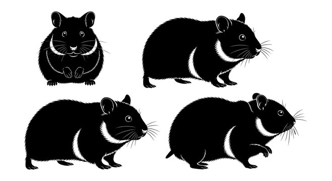Silhouette of hamsters in various poses isolated on white background