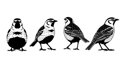 Naklejka premium Silhouette of birds in various poses on white background