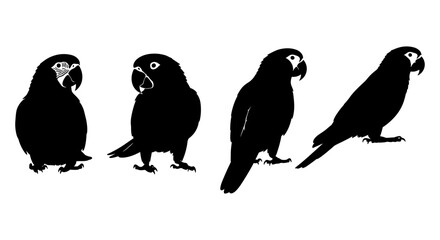 Naklejka premium Black silhouettes of parrots in various poses on a white background