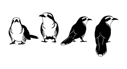 Naklejka premium Monochrome bird silhouettes: various poses of birds in artistic style