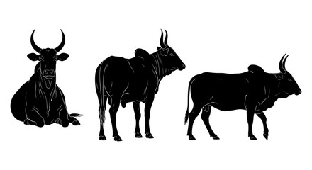Obraz premium Silhouette of bulls in various poses on white background