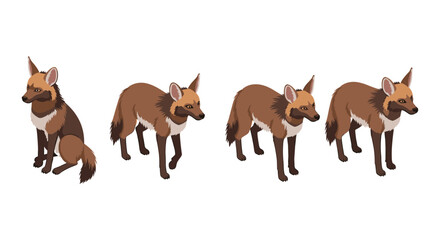 Set of animated brown foxes in various poses on white background
