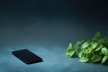 discover revolutionary plant scanner app utilized on smartphones redefining plant care and watering routines