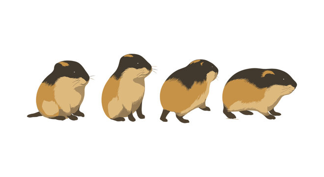 Adorable lemming sequence in minimalist design