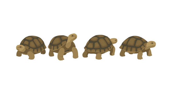 Cute cartoon tortoises in seamless pattern for kids' designs