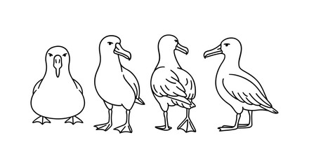 Albatross silhouette collection: minimalist line art illustrations of albatross in various poses