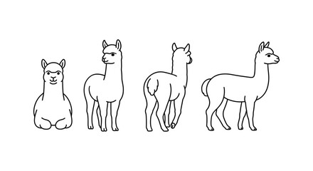 Naklejka premium Cute alpaca line art in different poses for design projects