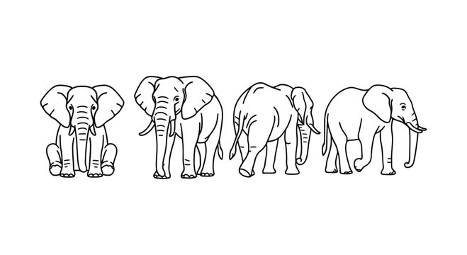 Black and white outline of elephant in four different poses