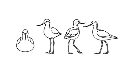 Minimalist line art of four birds in different poses