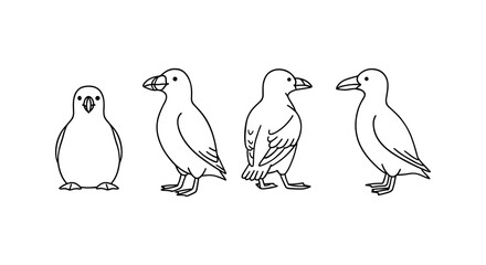 Line art illustrations of penguin and bird in multiple poses and views