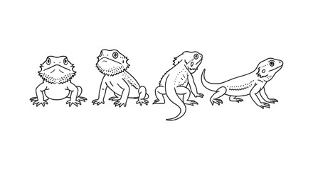 Bearded dragon lizard sketch: four black and white line drawings
