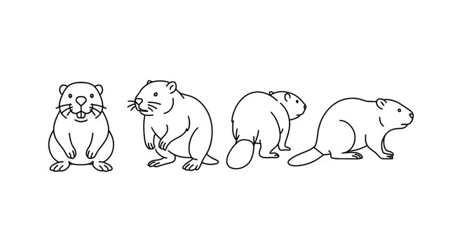 Simple beaver line art collection featuring various poses